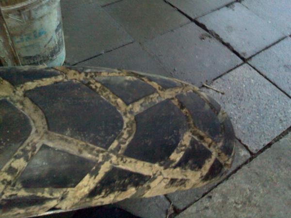 foto k příspěvku  od Aligátor