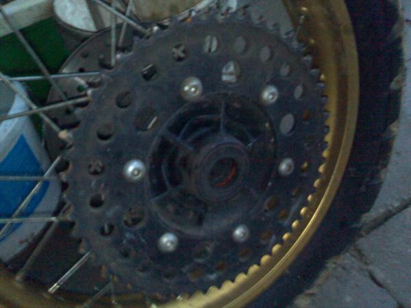 foto k příspěvku  od Aligátor