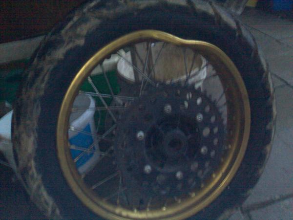 foto k příspěvku  od Aligátor