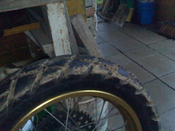 foto k příspěvku  od Aligátor