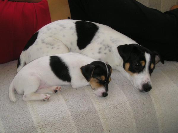 foto k příspěvku  od fanys.h