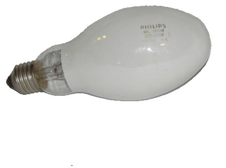 foto k příspěvku  od Aligátor