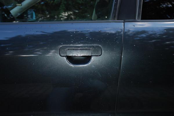 foto k příspěvku  od xenonman