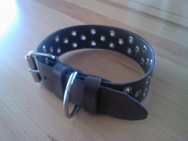 foto k příspěvku  od Netsitte