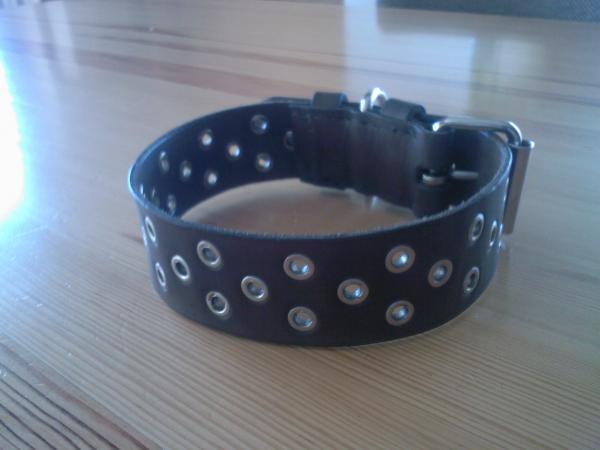 foto k příspěvku  od Netsitte