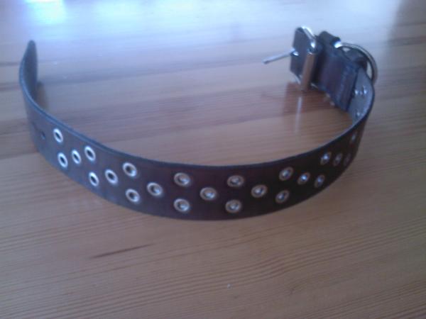 foto k příspěvku  od Netsitte