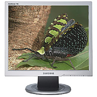 foto k příspěvku  od Pavel 528