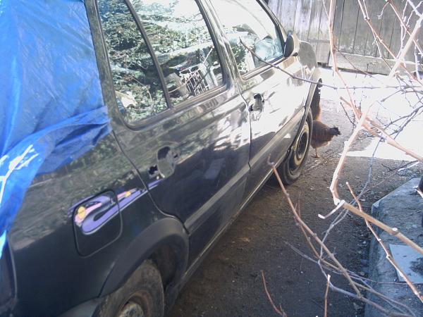 foto k příspěvku  od Drag