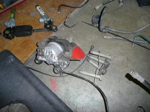 foto k příspěvku  od Adler