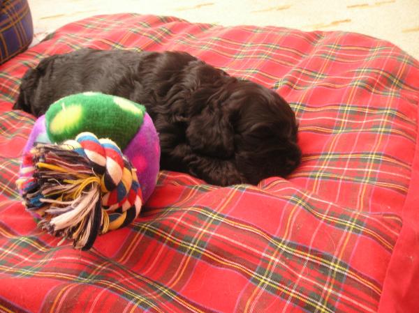 foto k příspěvku  od groatso