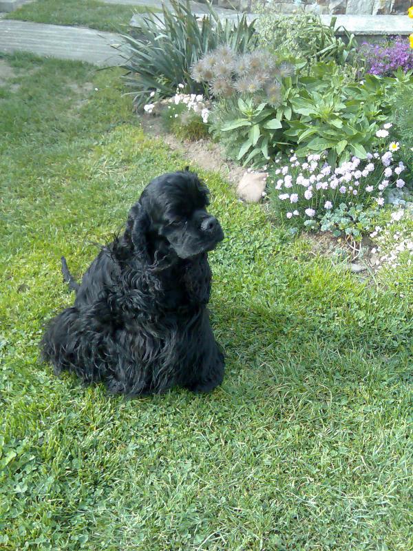 foto k příspěvku  od groatso