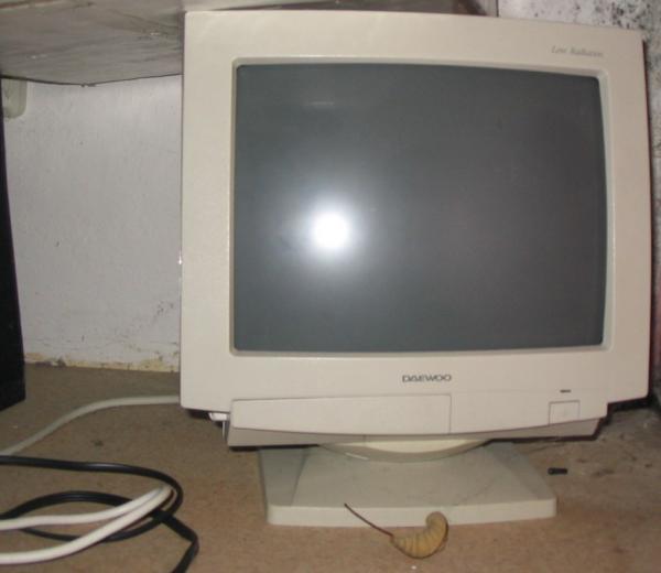 foto k příspěvku  od Biturb