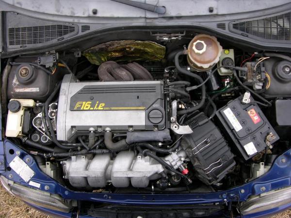 foto k příspěvku  od bigfrost