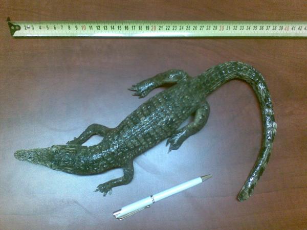 foto k příspěvku  od fredy