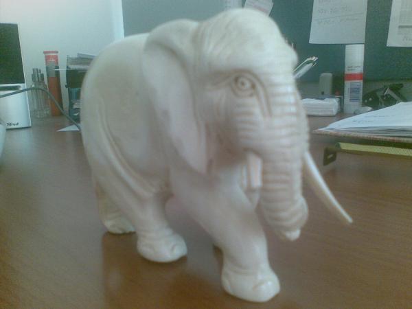 foto k příspěvku  od fredy