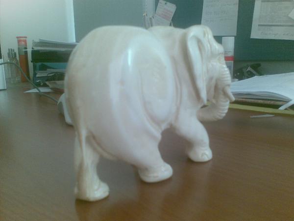 foto k příspěvku  od fredy