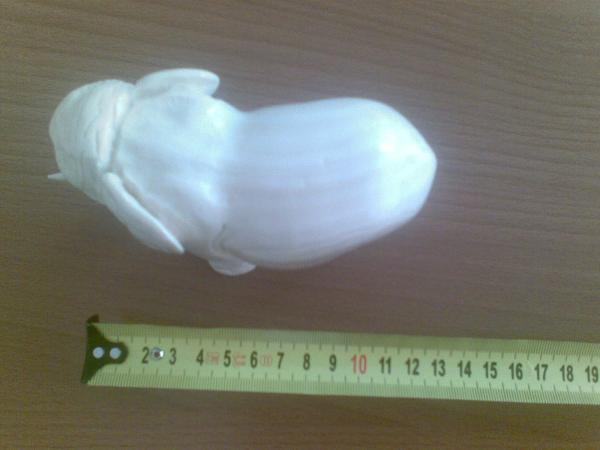 foto k příspěvku  od fredy