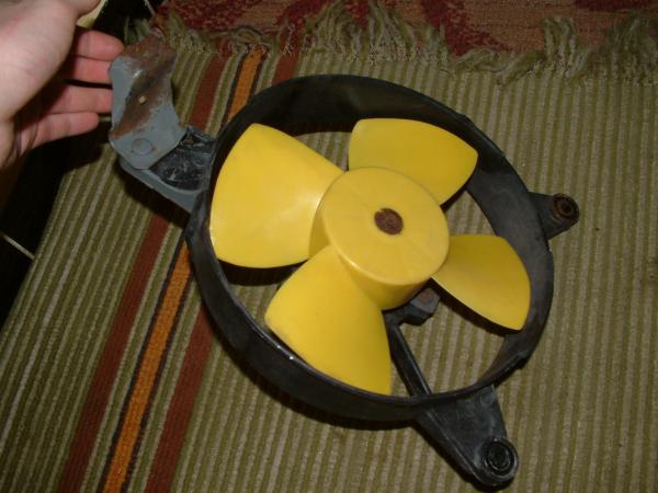 foto k příspěvku  od petis