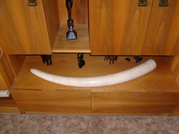 foto k příspěvku  od Kesam