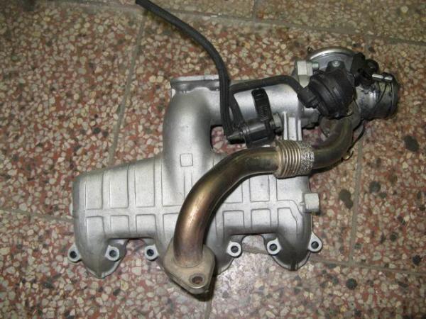 foto k příspěvku  od sotek