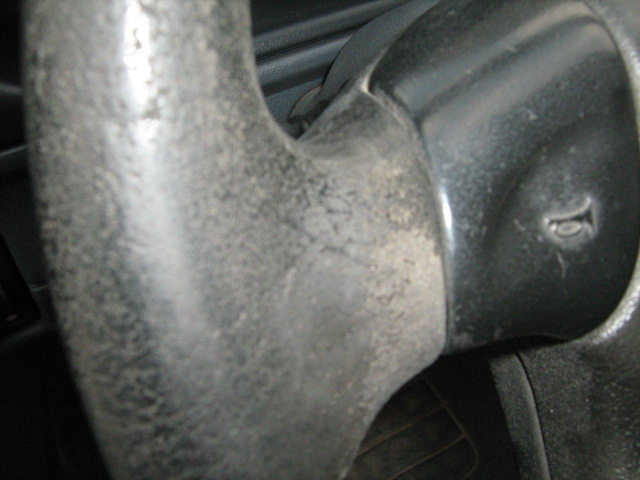 foto k příspěvku  od Dr.Rastafo