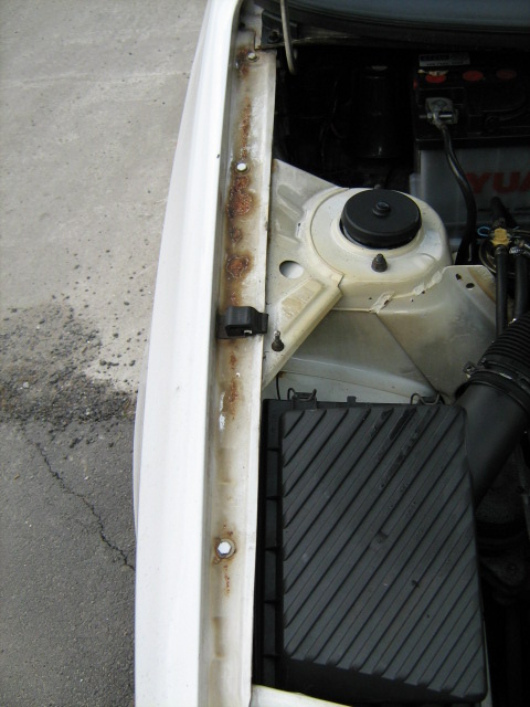 foto k příspěvku  od Dr.Rastafo