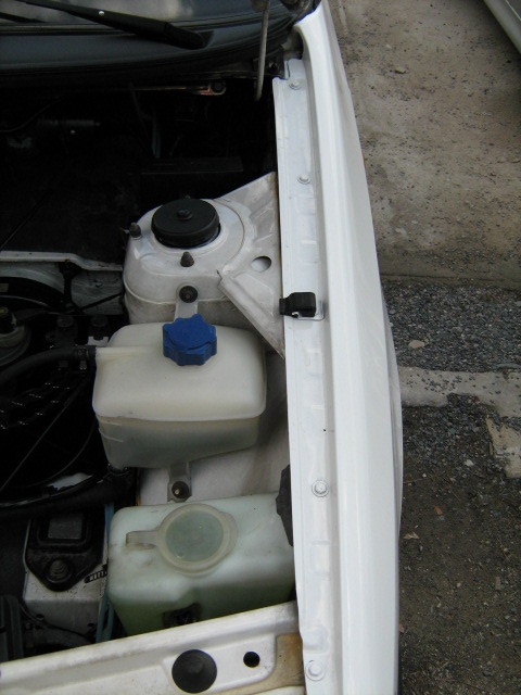 foto k příspěvku  od Dr.Rastafo