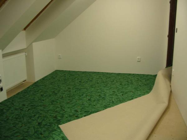 foto k příspěvku  od ACEMajky