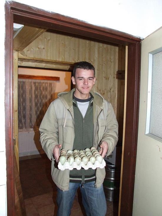 foto k příspěvku  od TheTimo