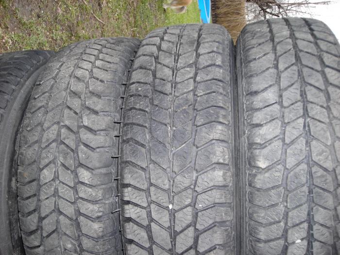 foto k příspěvku  od Antonio