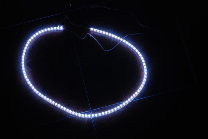 foto k příspěvku  od xenonman