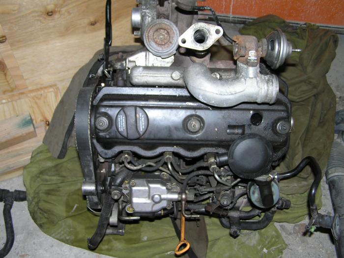 foto k příspěvku  od Rajdlos