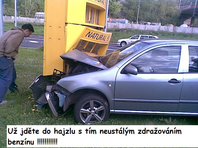 foto k příspěvku  od free.tree