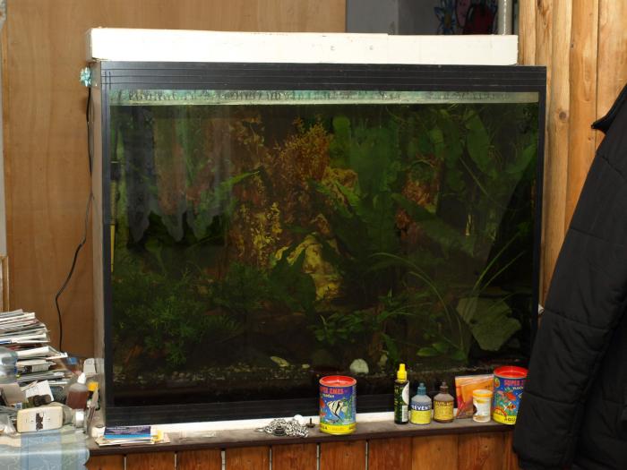 foto k příspěvku  od ACEMajky