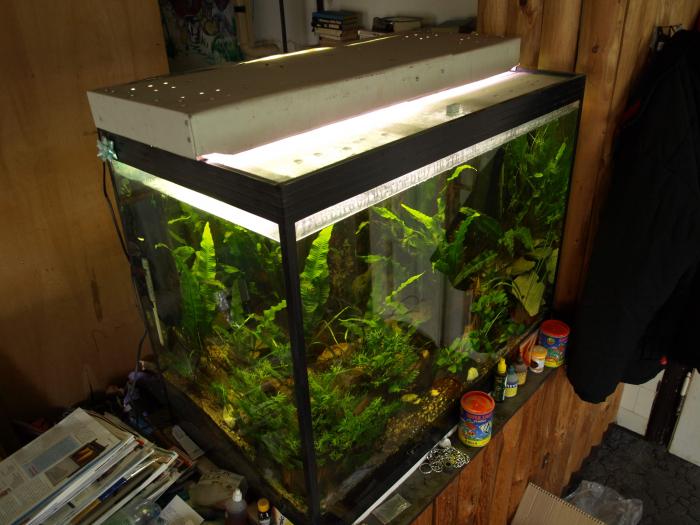 foto k příspěvku  od ACEMajky