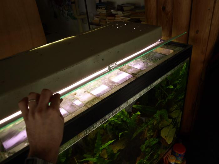 foto k příspěvku  od ACEMajky