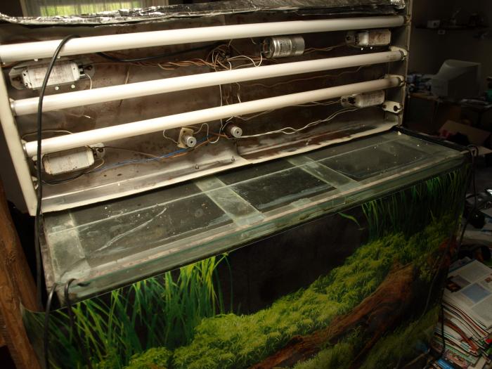 foto k příspěvku  od ACEMajky