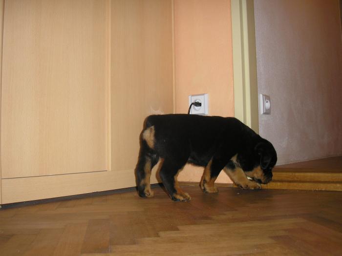 foto k příspěvku  od Petura