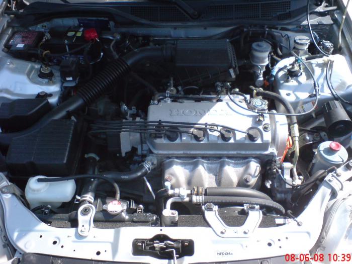 foto k příspěvku  od Knightey-