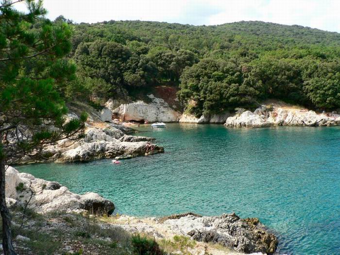 foto k příspěvku  od Crimson