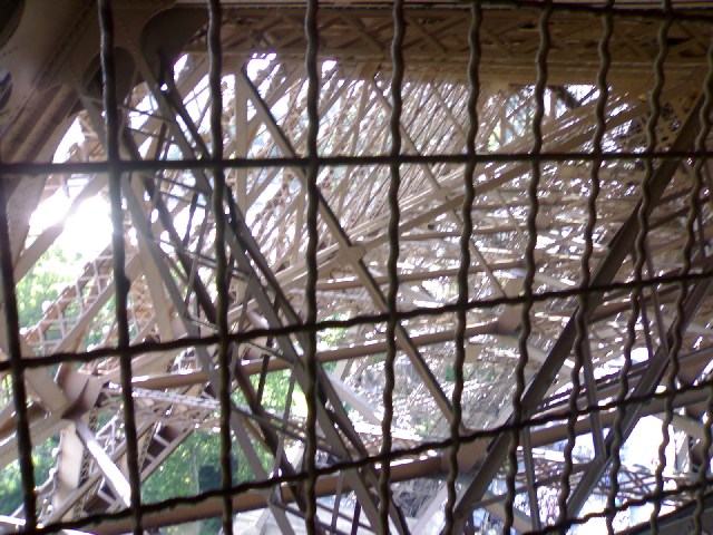 foto k příspěvku  od Briann