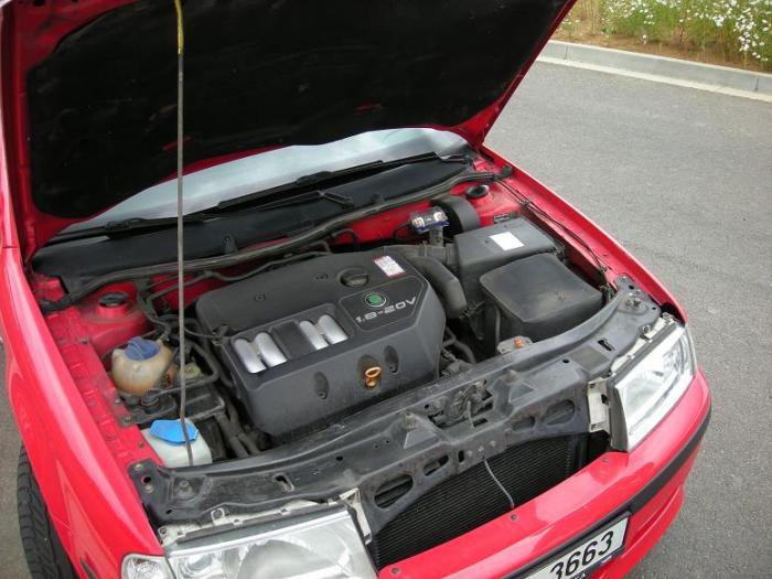 foto k příspěvku  od BadyS