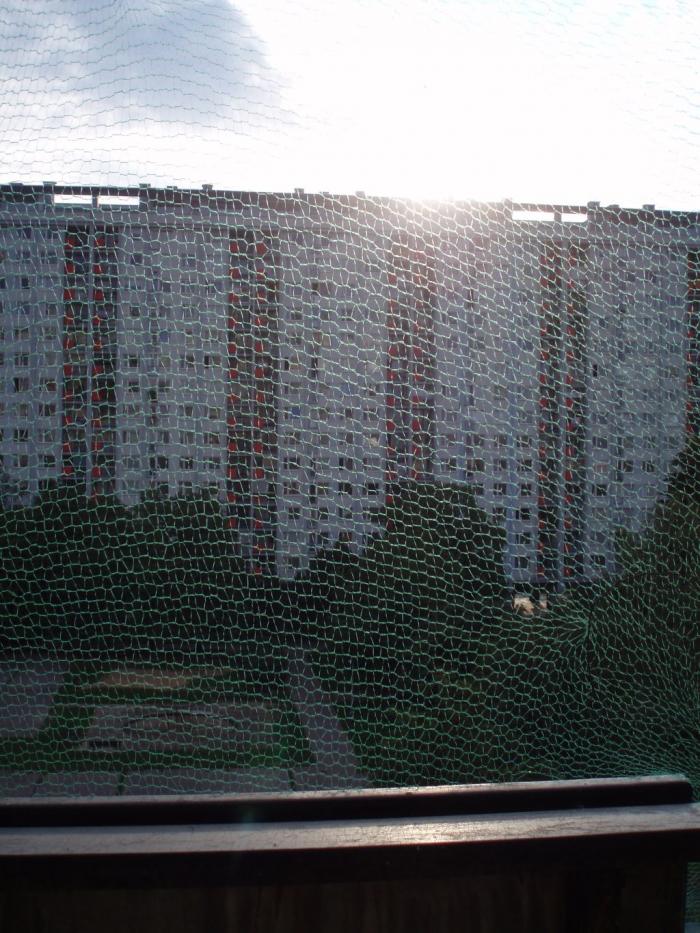 foto k příspěvku  od Rustapha-659