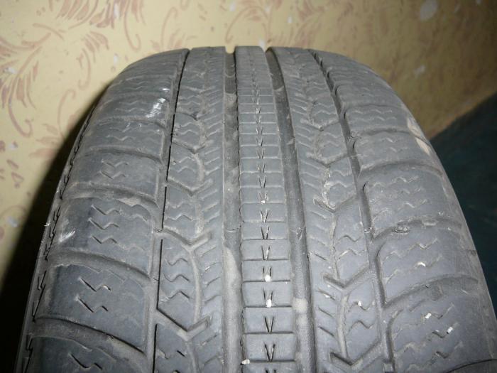 foto k příspěvku  od Mika