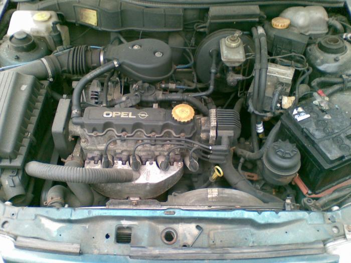 foto k příspěvku  od SpasitelKlokanu