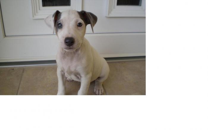 foto k příspěvku  od Hr0uDaaa