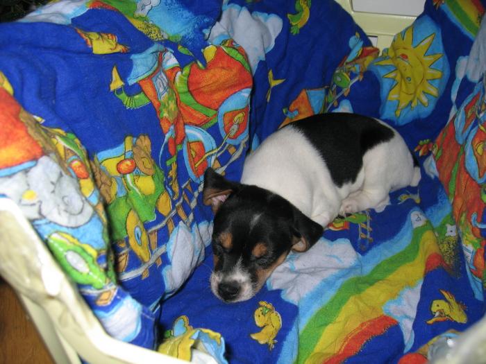 foto k příspěvku  od AUTOHIFICENTRUM Liberec