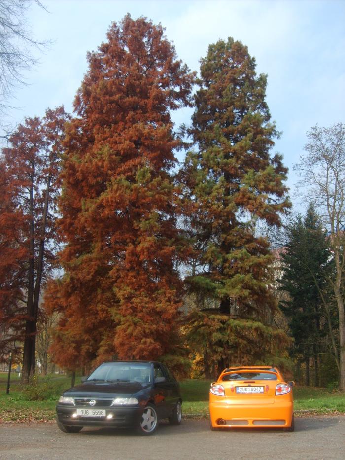 foto k příspěvku  od Satanda