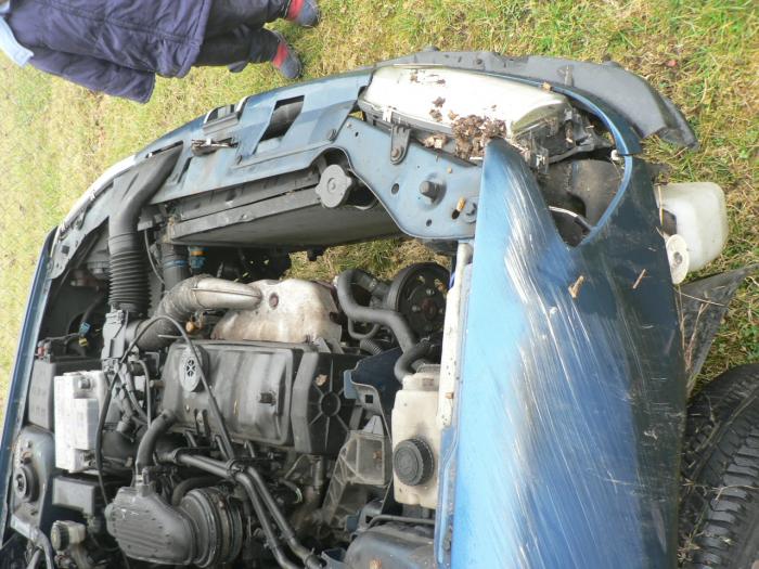 foto k příspěvku  od Only_One