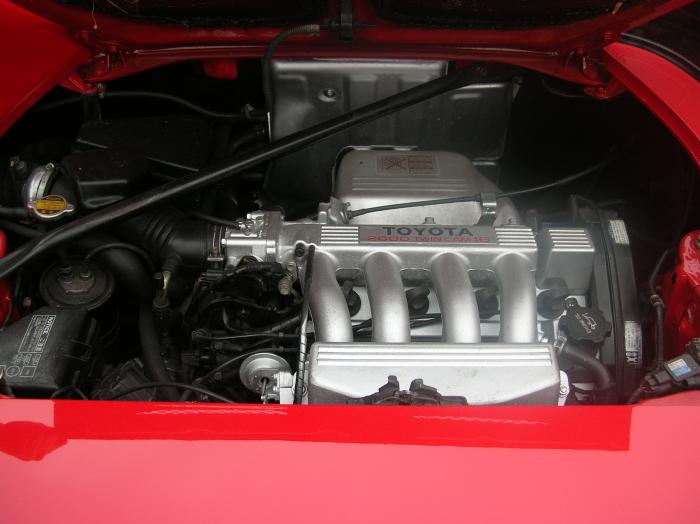 foto k příspěvku  od johanik